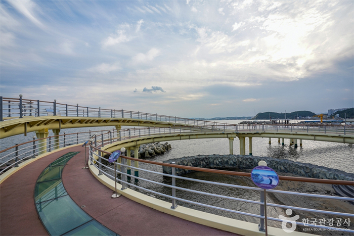 포항 해상스카이워크